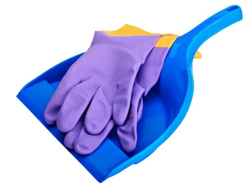 A blue cleaning pan with two violet rubber gloves on top on white background